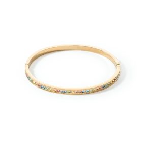 Bangle stainless steel & crystals gold multicolour pastel 17