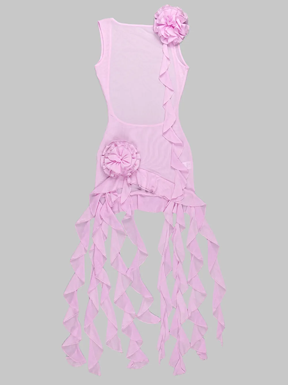 SIA Mesh Mini Dress